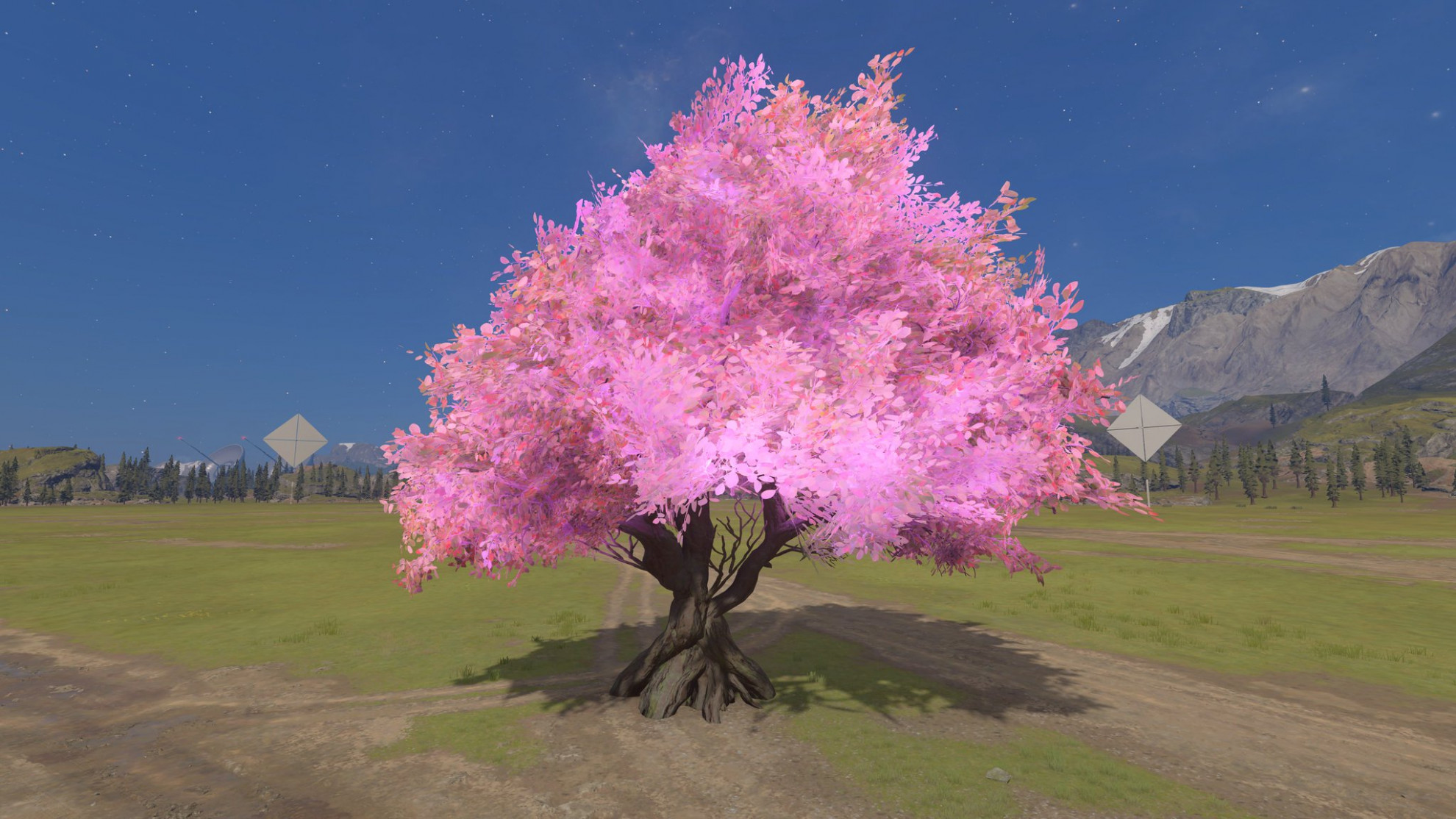cherry blossom | Prefab | Forgera
